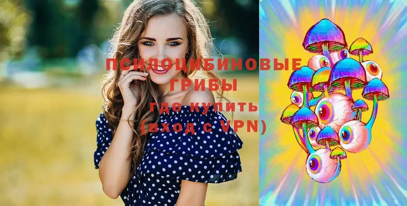 Галлюциногенные грибы мицелий  OMG ССЫЛКА  Кандалакша 