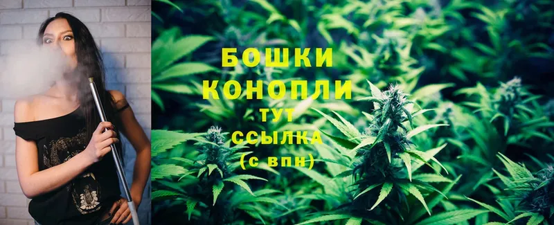 Бошки марихуана THC 21%  Кандалакша 